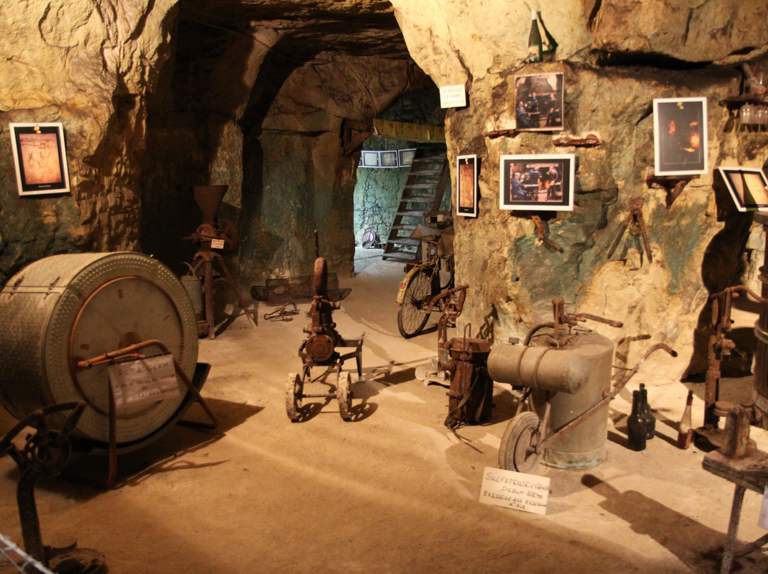 La Cave Vivante du Champignon景点图片
