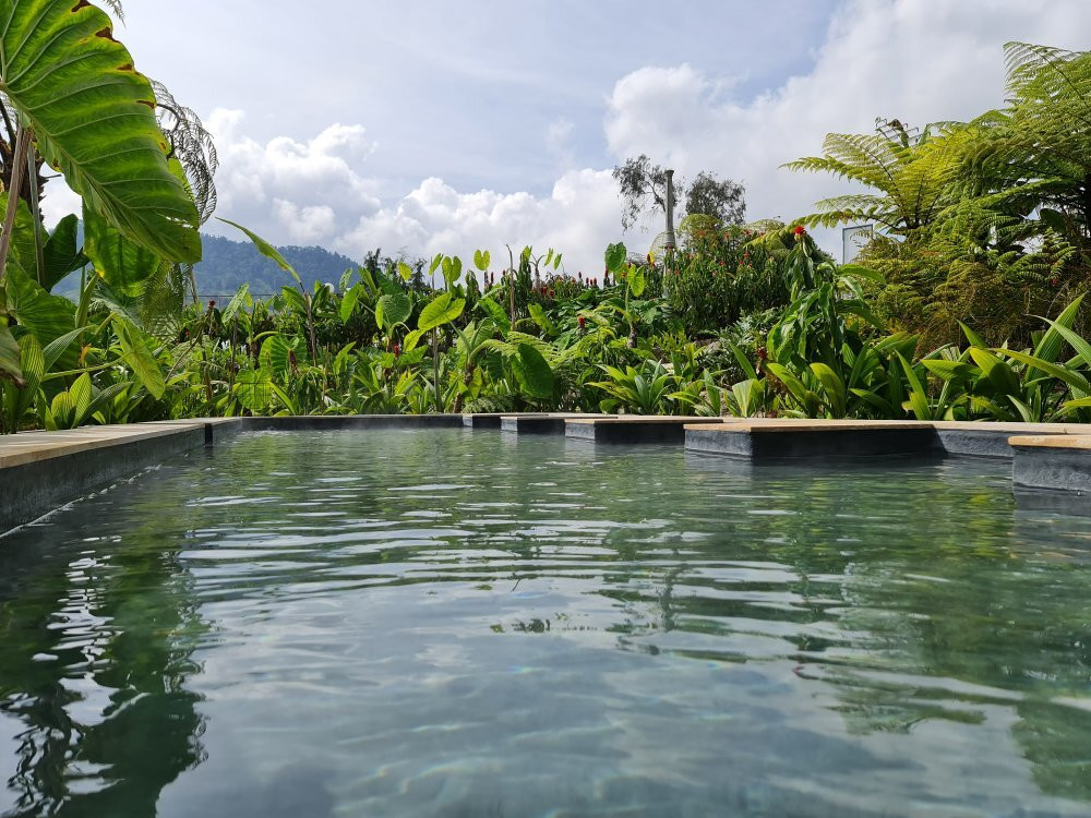 Termales El Otono Ecotermales-Manizales必去景点