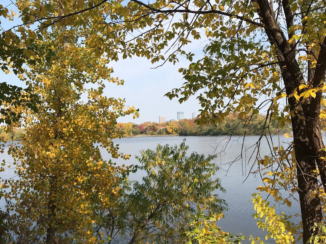 Lake of the Isles-明尼阿波利斯必去景点