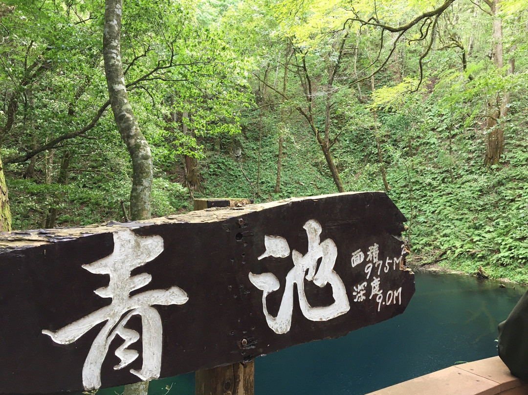 Blue Pond景点图片