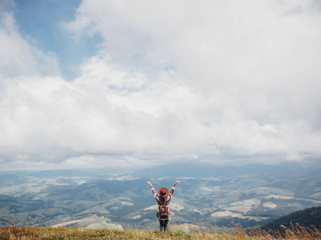 Mansfield Bushwalks-曼斯菲尔德必去景点