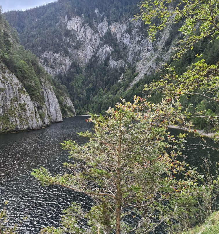 Salza-Stausee-泉米藤村必去景点