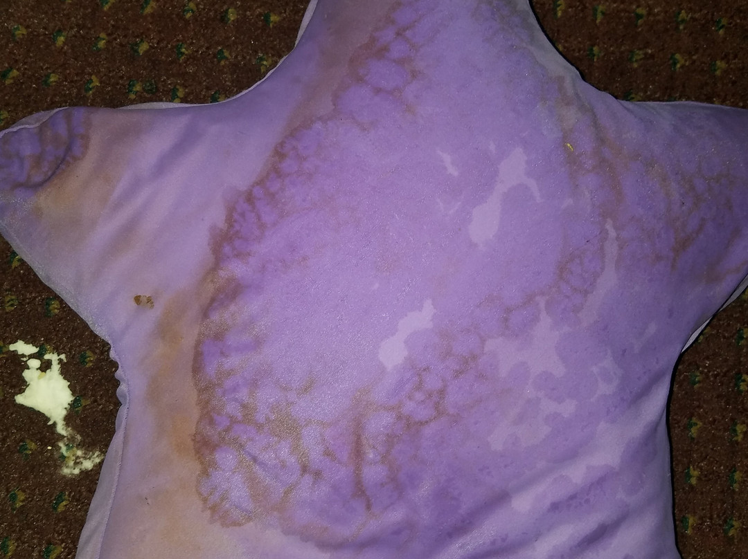 Blue Haven Motel I-75 North Exit 128&129主图