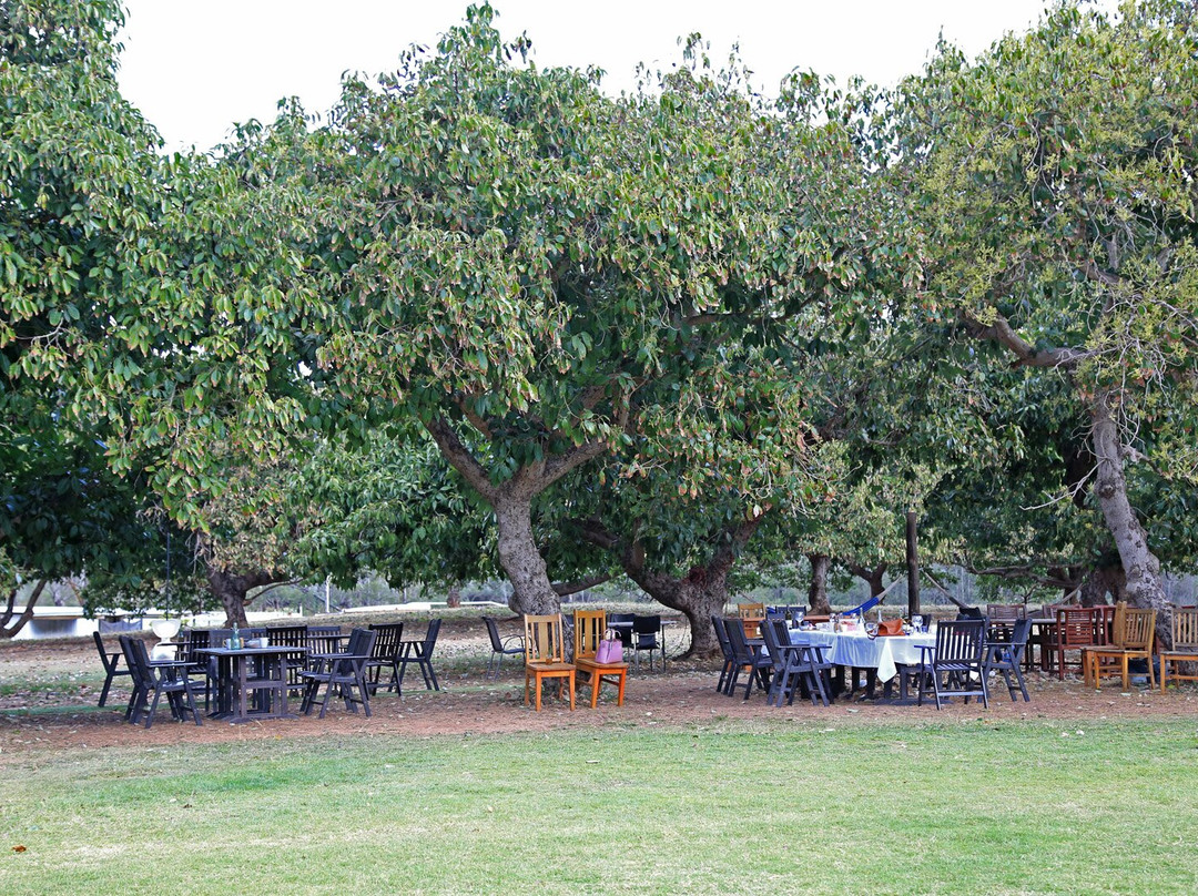 Awassi Cheesery-Grantham必去景点