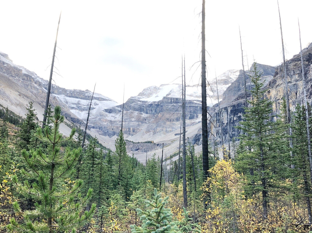 Stanley Glacier Hike景点图片