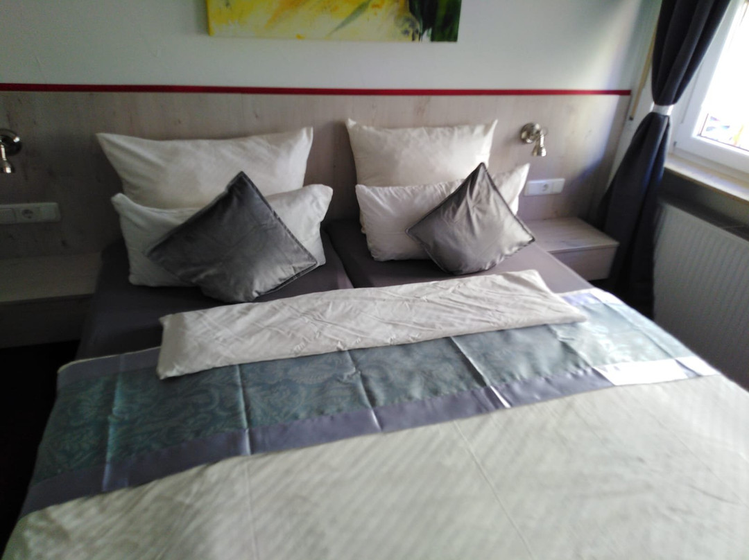 Hotel Wilder Mann主图
