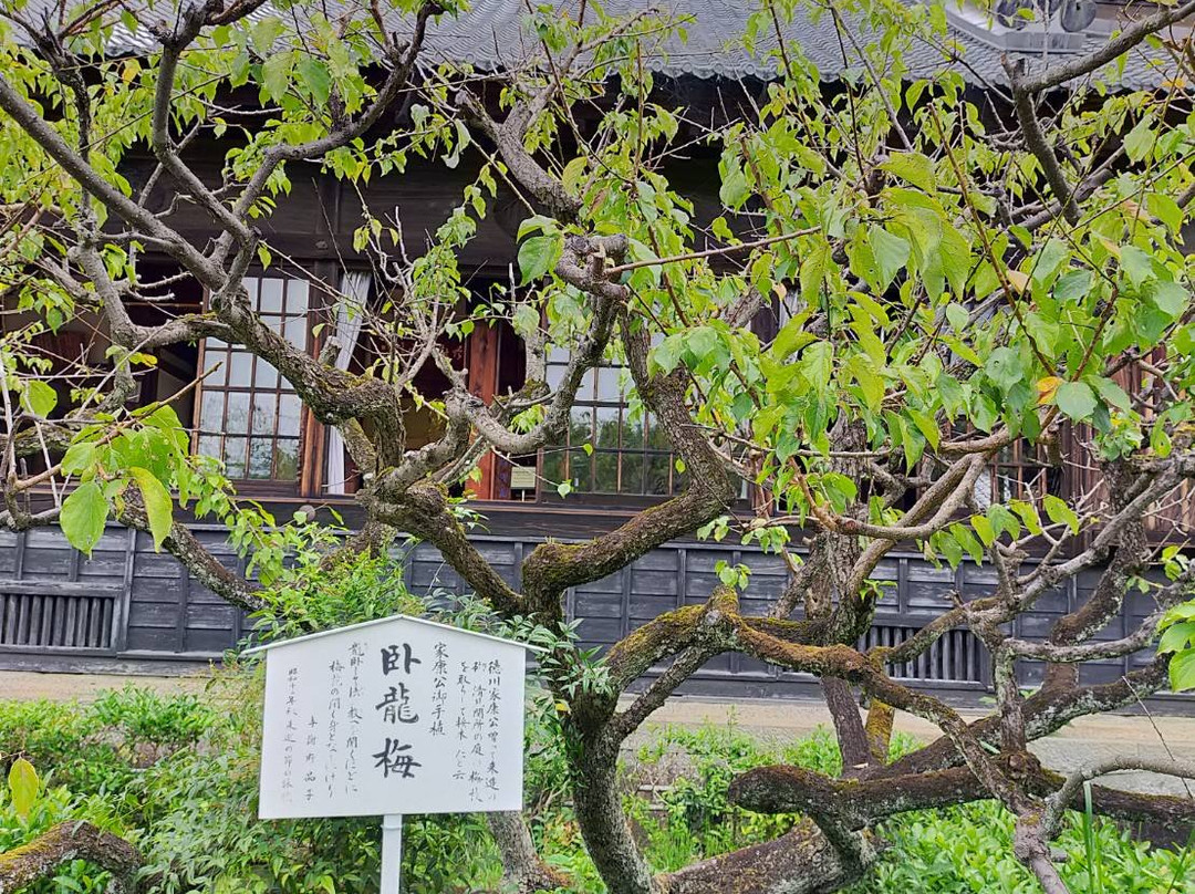 Seiken-ji Temple景点图片