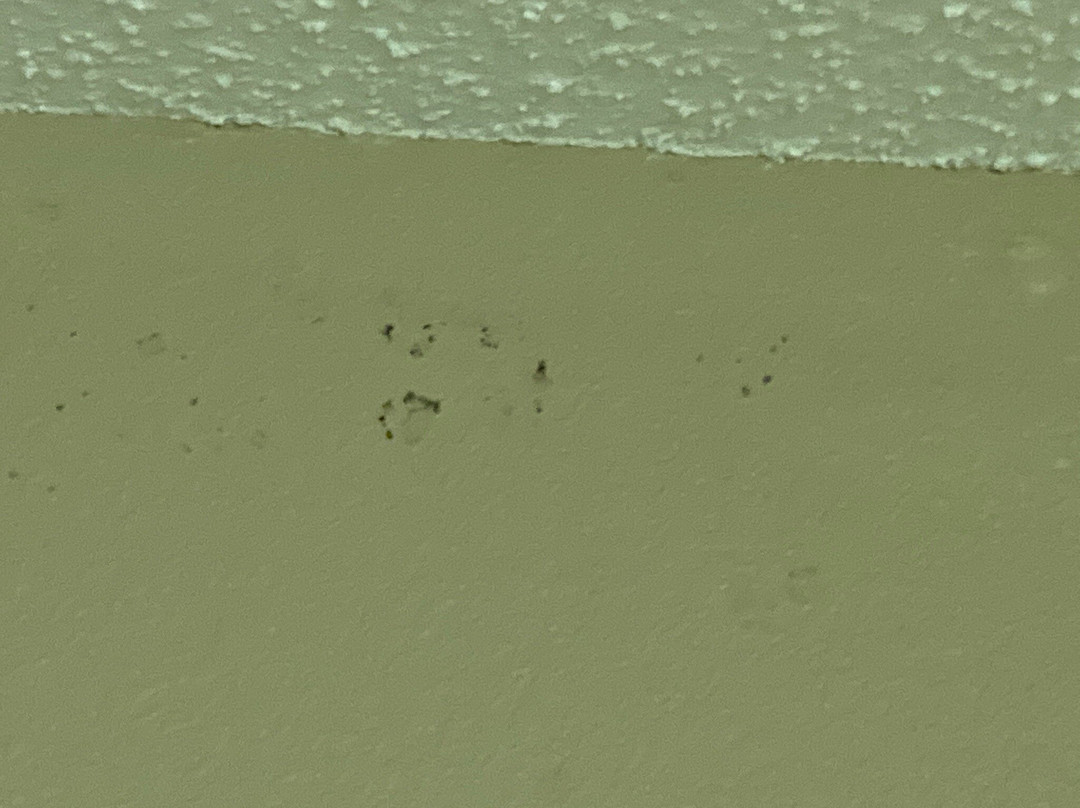 Super 8 by Wyndham Manhattan KS主图