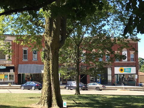 Mount Pulaski Courthouse State Historic Site-Mount Pulaski必去景点