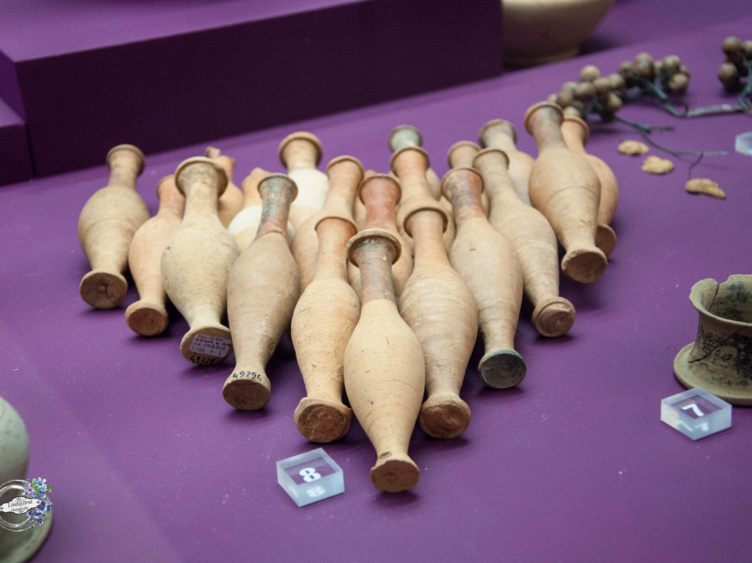 Museo Archeologico Nazionale di Metaponto景点图片