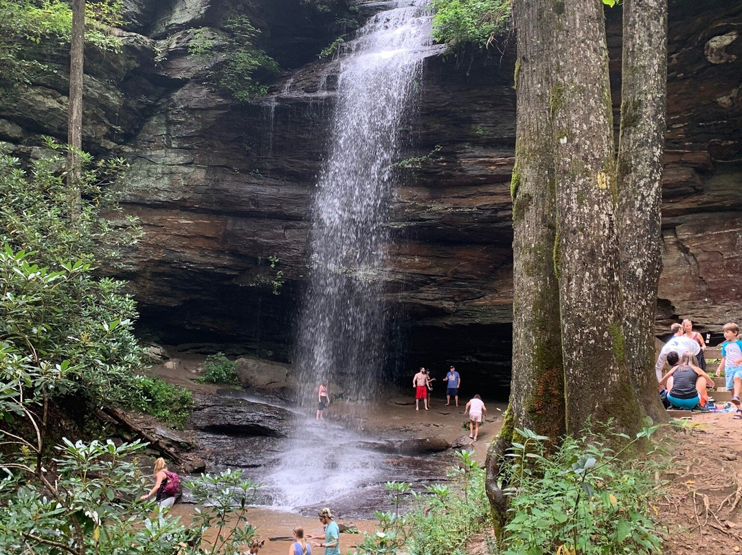 Moore Cove Falls景点图片
