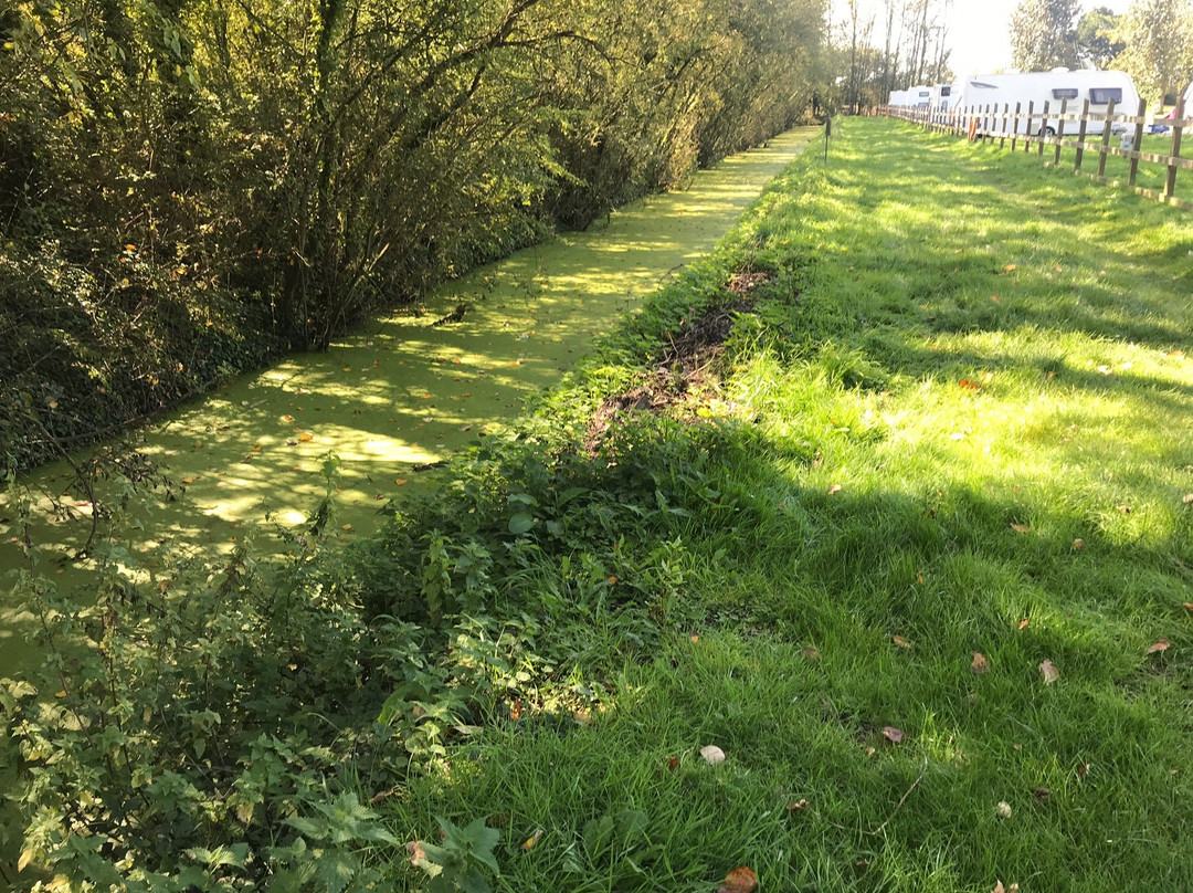 Edithmead旅游攻略图片