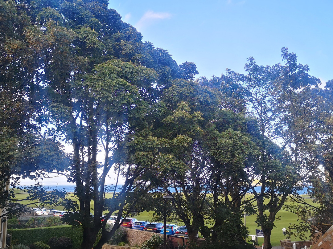 The Folly Hotel主图