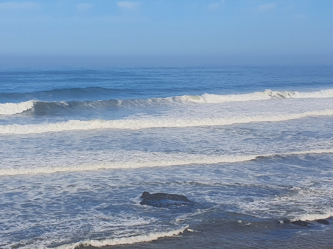 Surfschool TresOndas Ericeira景点图片