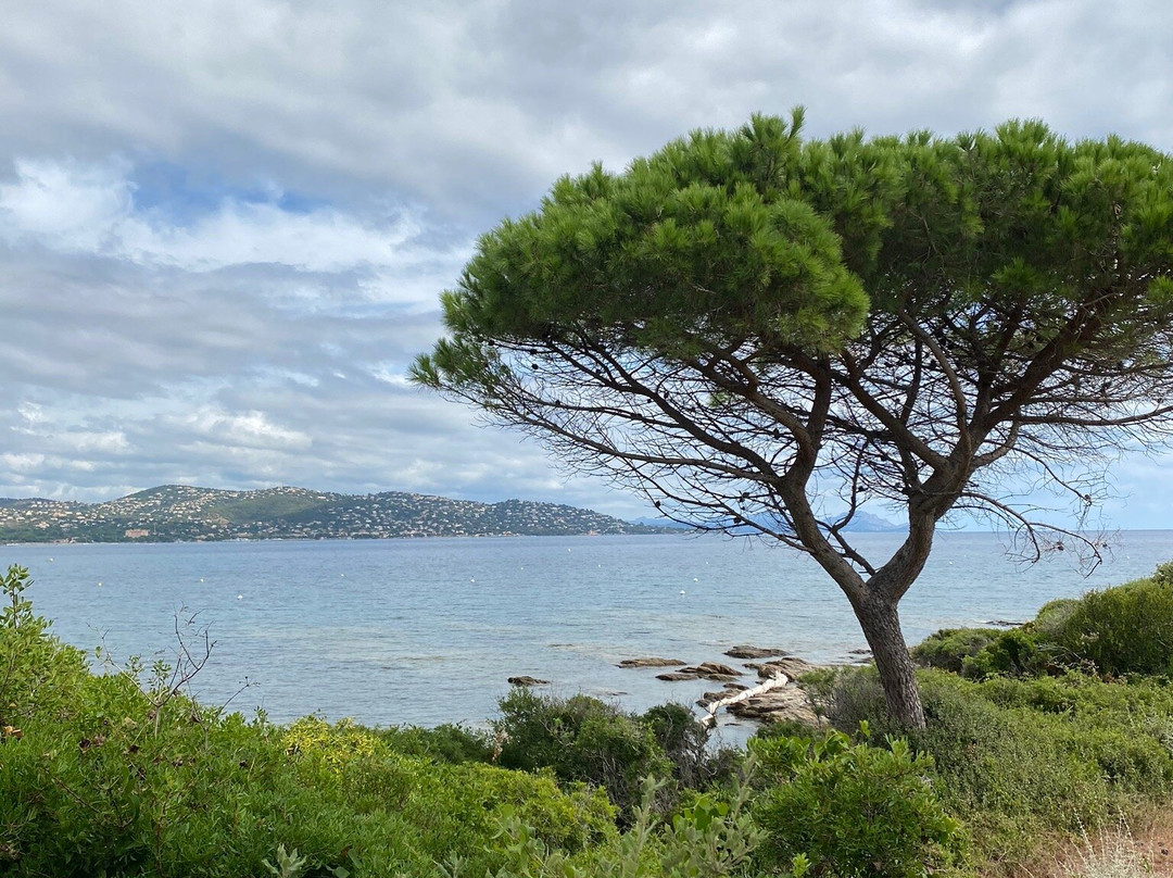 Pointe des Sardinaux景点图片