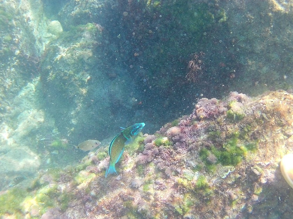 Cala El Raco景点图片