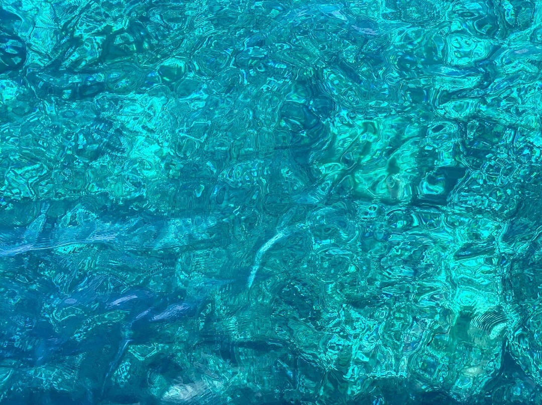 Skipperclub SailingTeam-韦内雷港必去景点