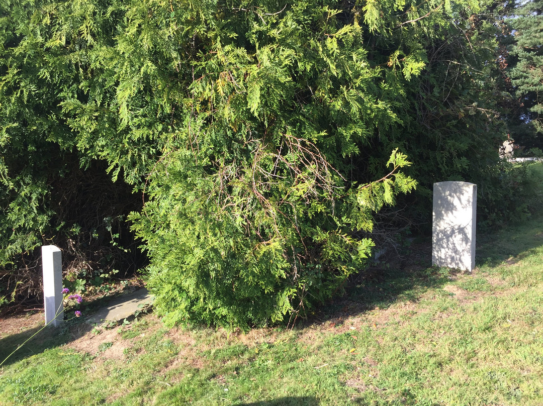 Commonwealth War Graves St Mildred's Cemetery-Tenterden必去景点