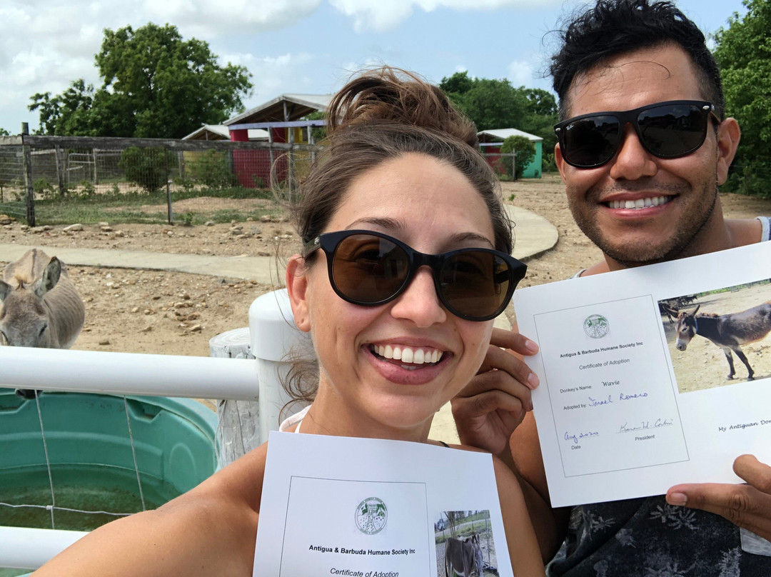 Antigua & Barbuda Humane Society-Saint Paul Parish必去景点