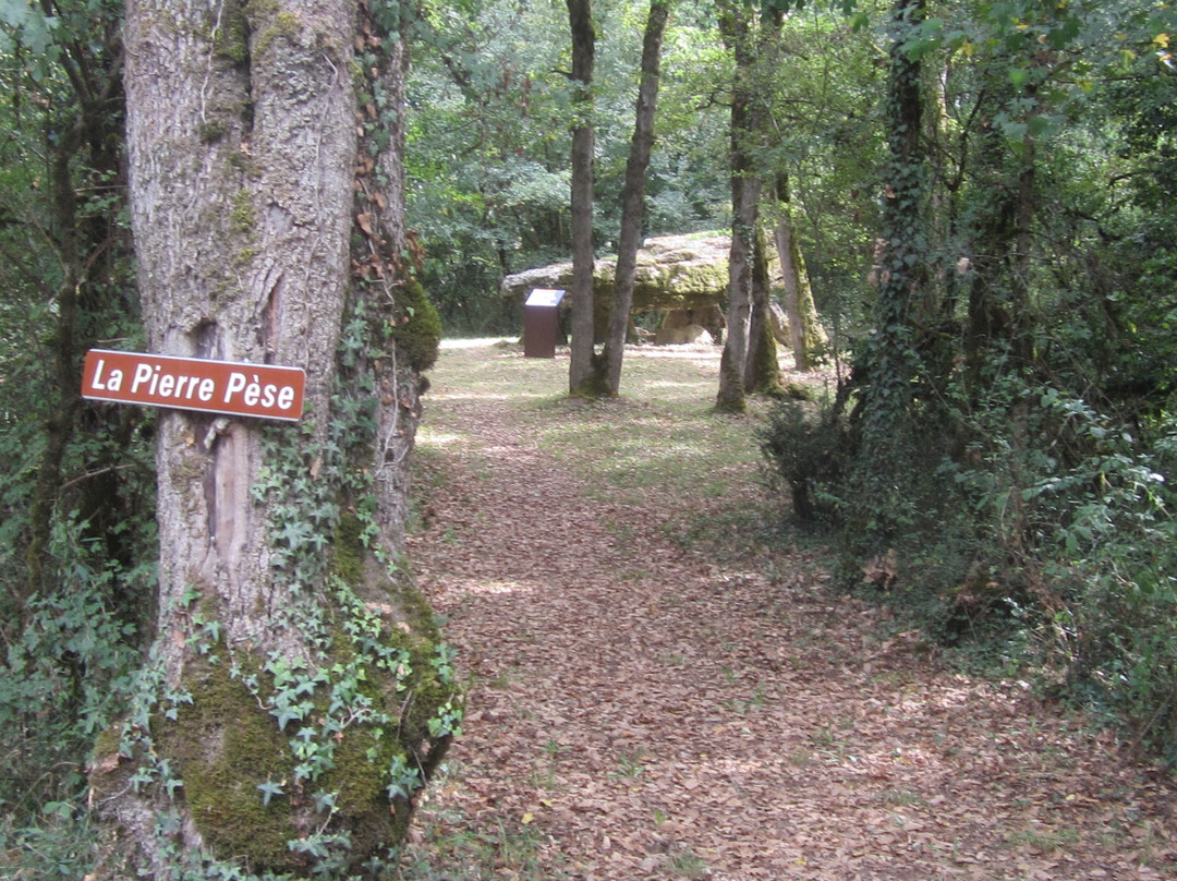 Dolmen De La Pierre Pèse景点图片