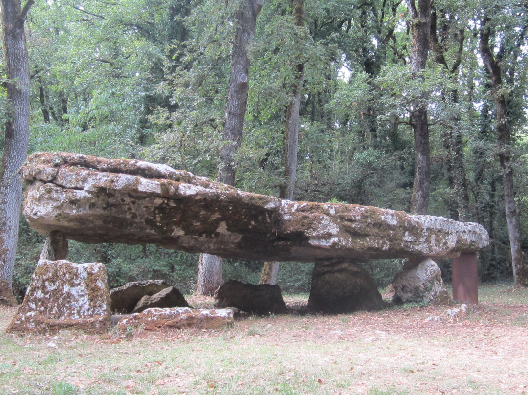 Dolmen De La Pierre Pèse景点图片