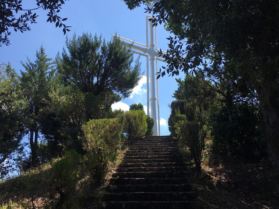 Basilica Santuario Madonna del Transito景点图片