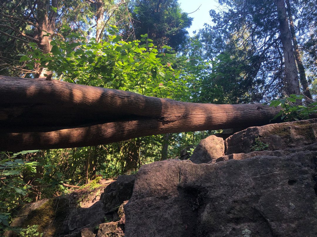 Limehouse Conservation Area-霍尔藤山市必去景点