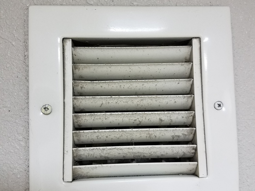 Best Western Kent Narrows Inn主图