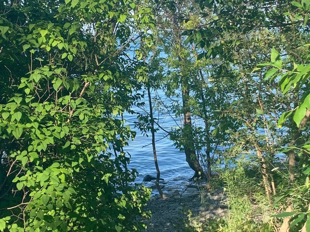 Craigleith Provincial Park-蓝山必去景点