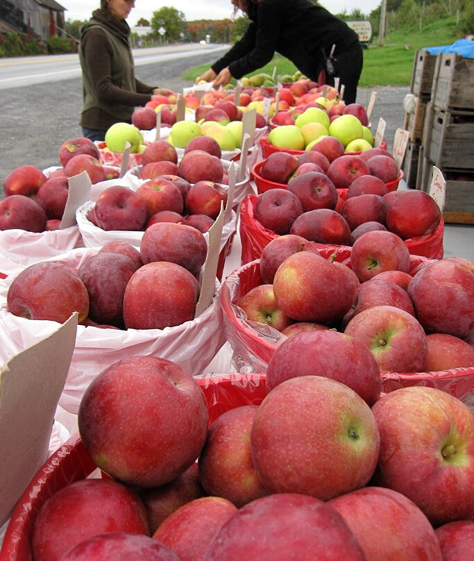Paradis des Fruits Dunham-Dunham必去景点