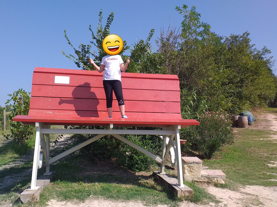 Big Bench nr. 41景点图片