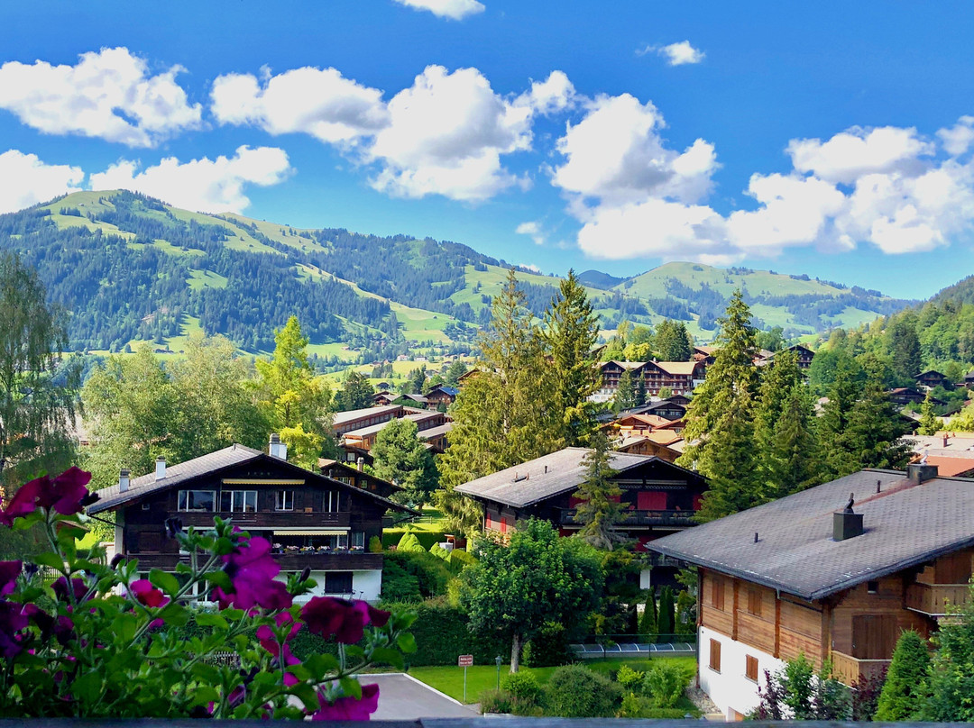 Hotel Arc-en-ciel Gstaad主图