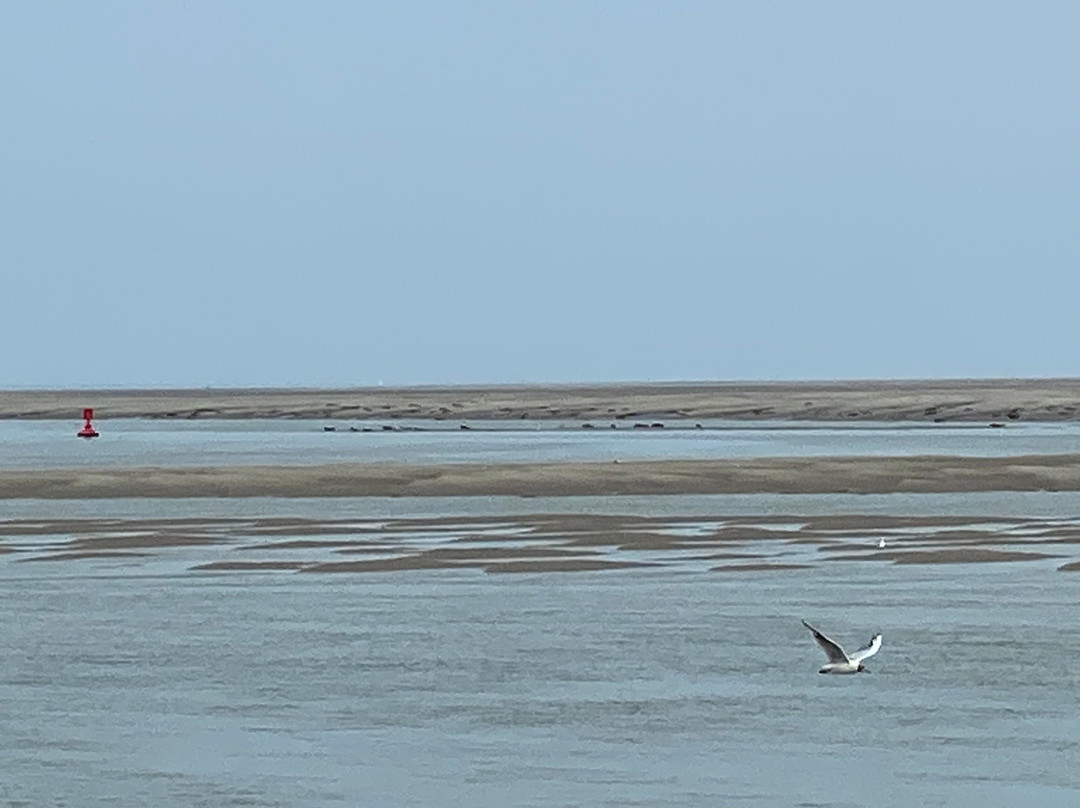 Passion Baie de Somme景点图片