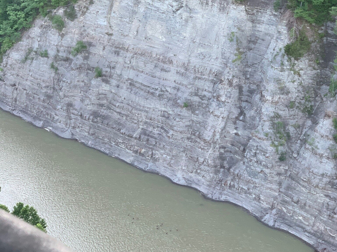 Genesee Falls Balloon-Portageville必去景点