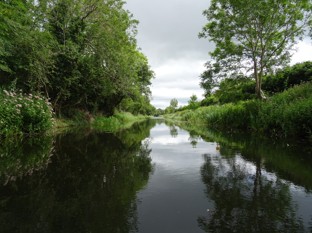 Royal Canal Boat Trips景点图片