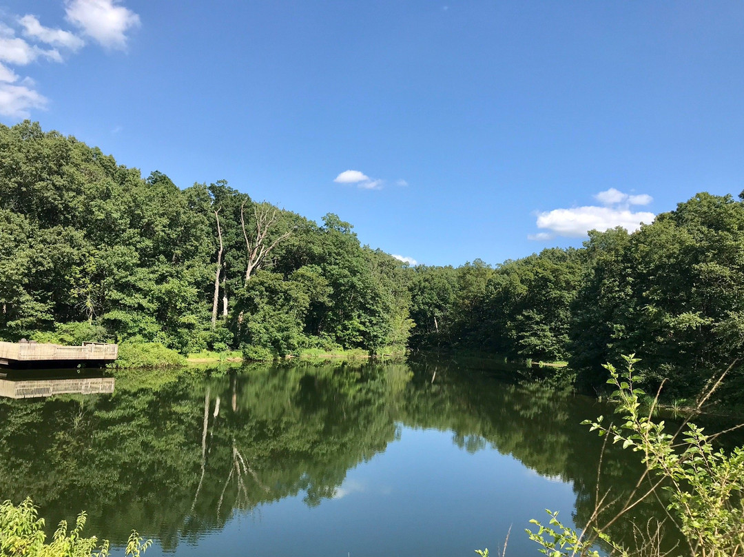 Rock Springs Conservation Area & Nature Center-迪凯特必去景点