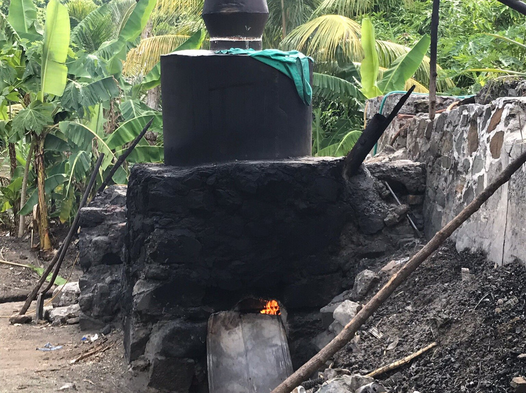 Callwood Rum Distillery-托土拉必去景点