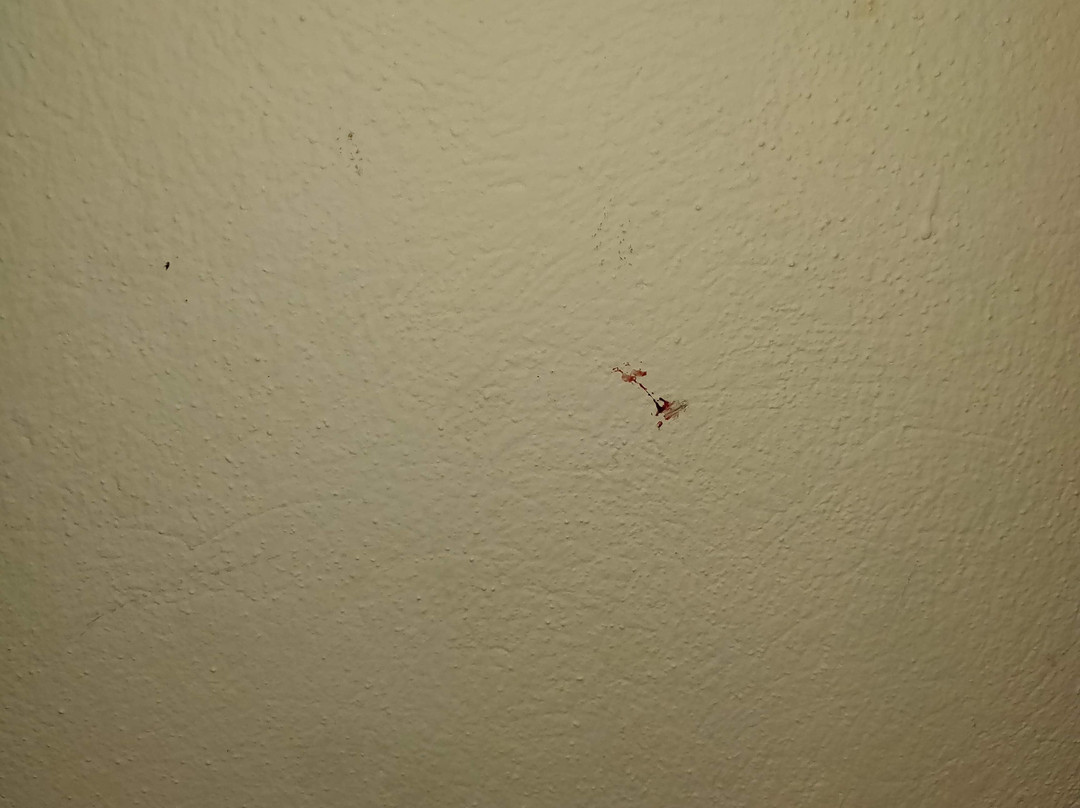 Ballonhotel Thaller主图