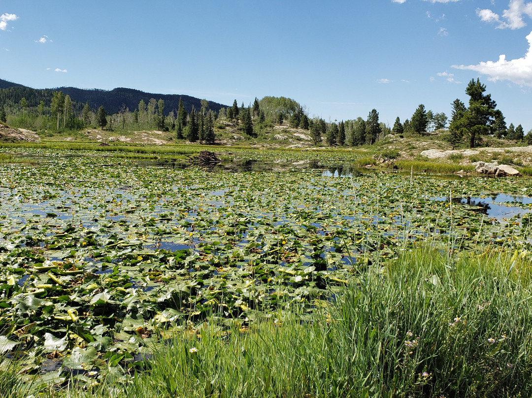 Potato Lake Trail-杜兰戈必去景点