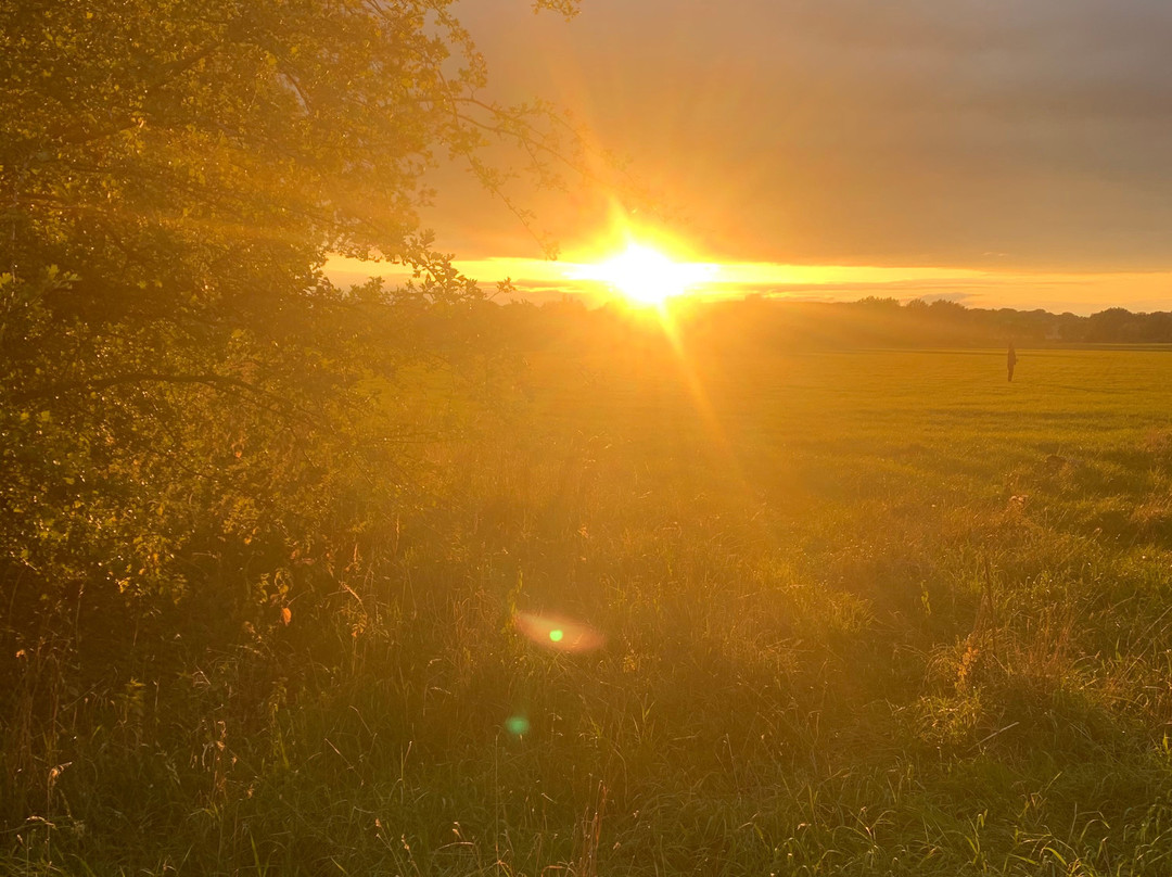 Yarwell Mill Country Park景点图片