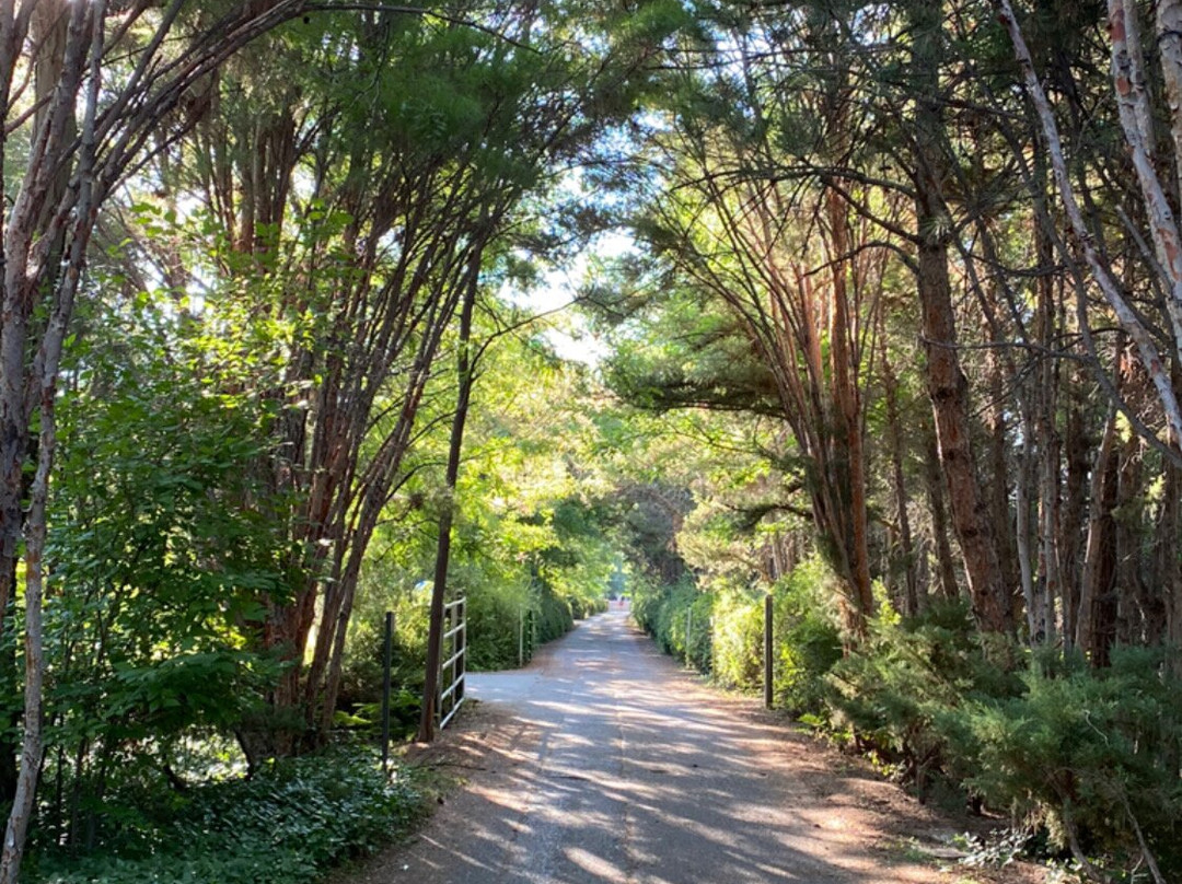 Los Poblanos Historic Inn & Organic Farm主图