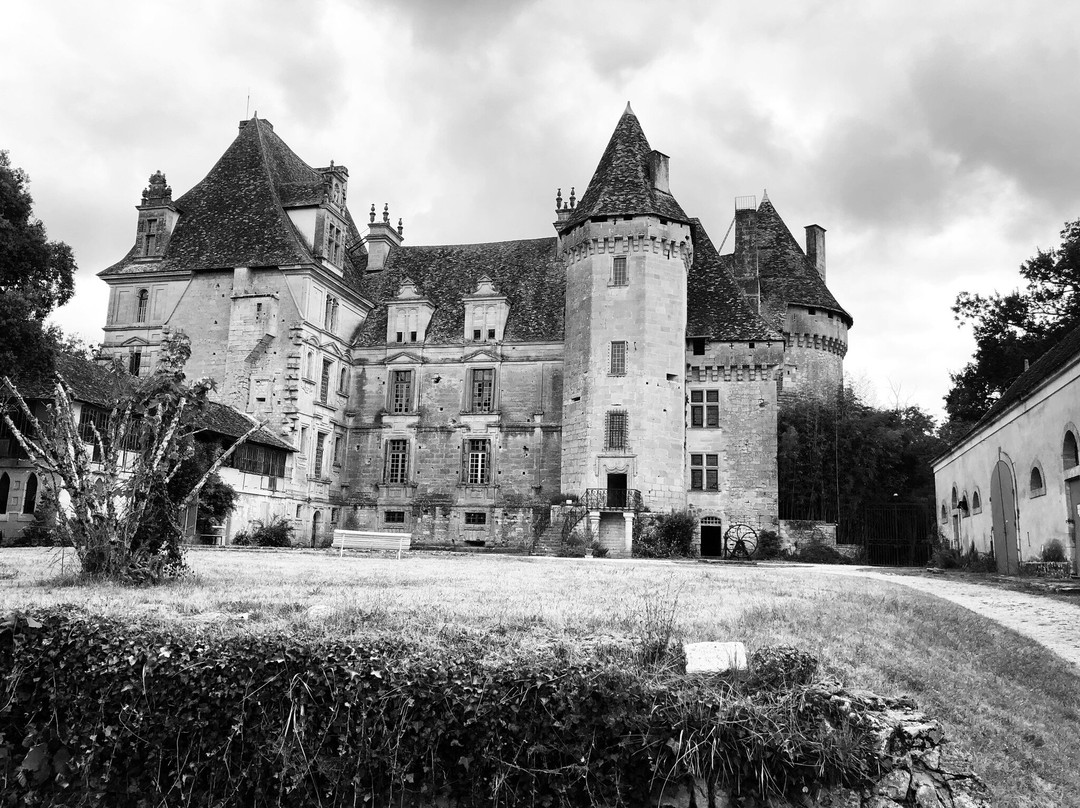 Chateau de Lanquais景点图片