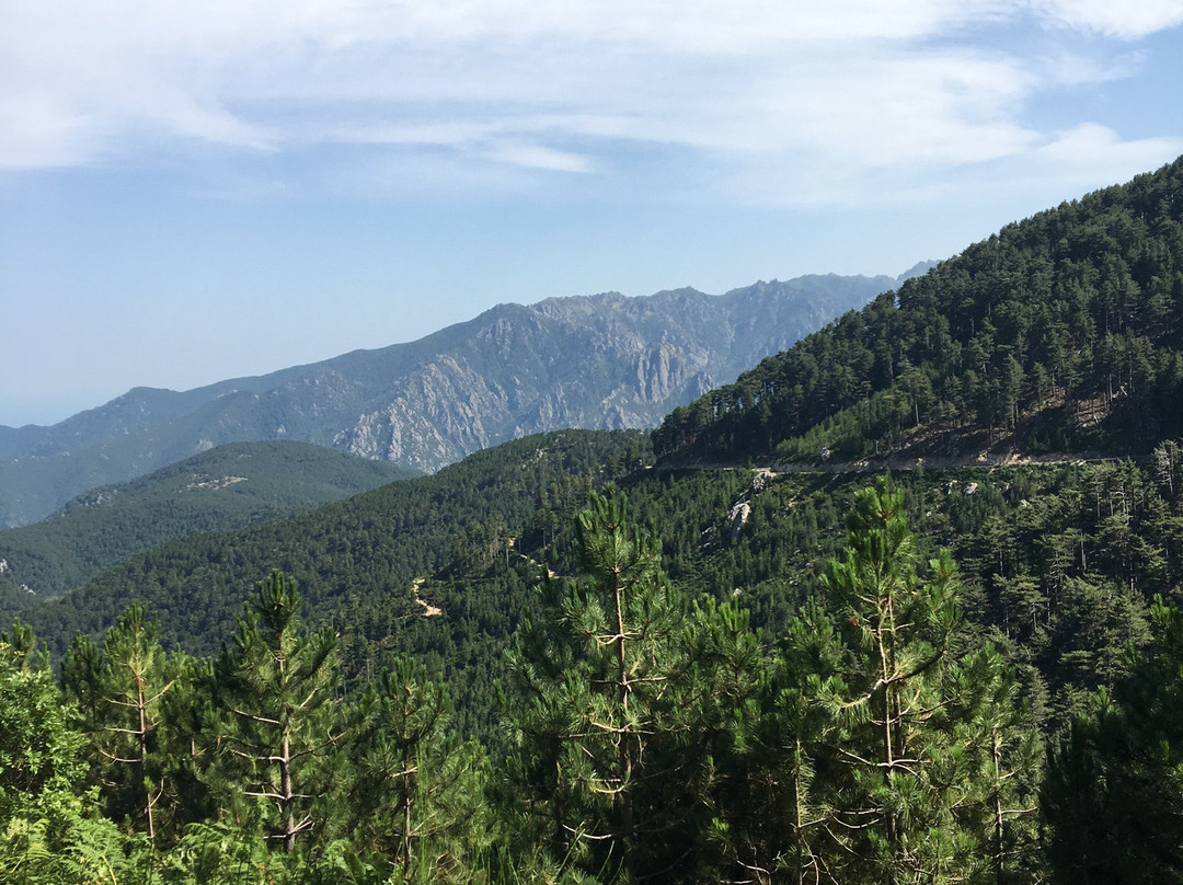 Parc Aventure Ghisoni景点图片