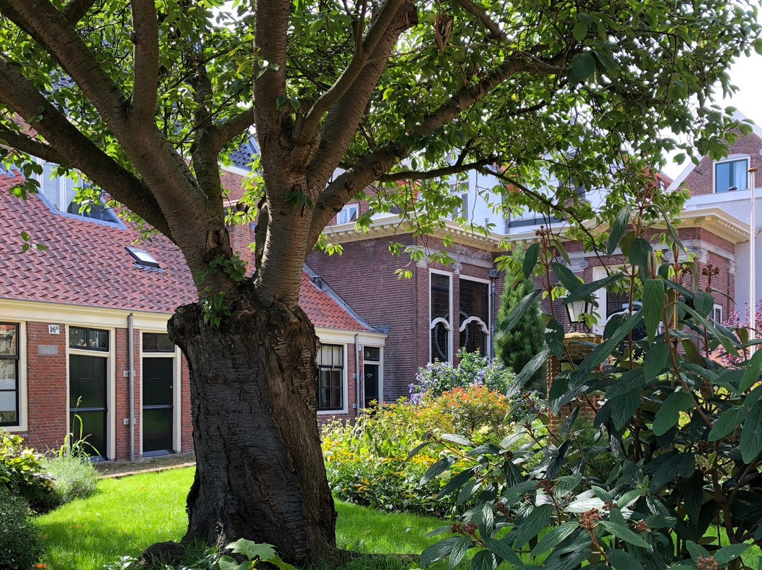 Hofjeswandeling in Haarlem-哈勒姆必去景点