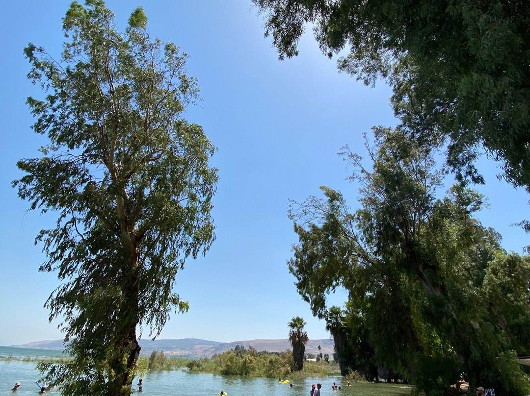 加利利湖景点图片