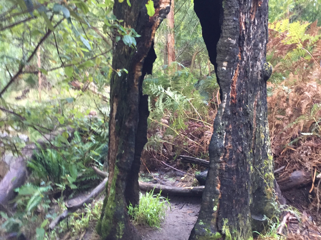 Silverband Falls-贺思盖必去景点