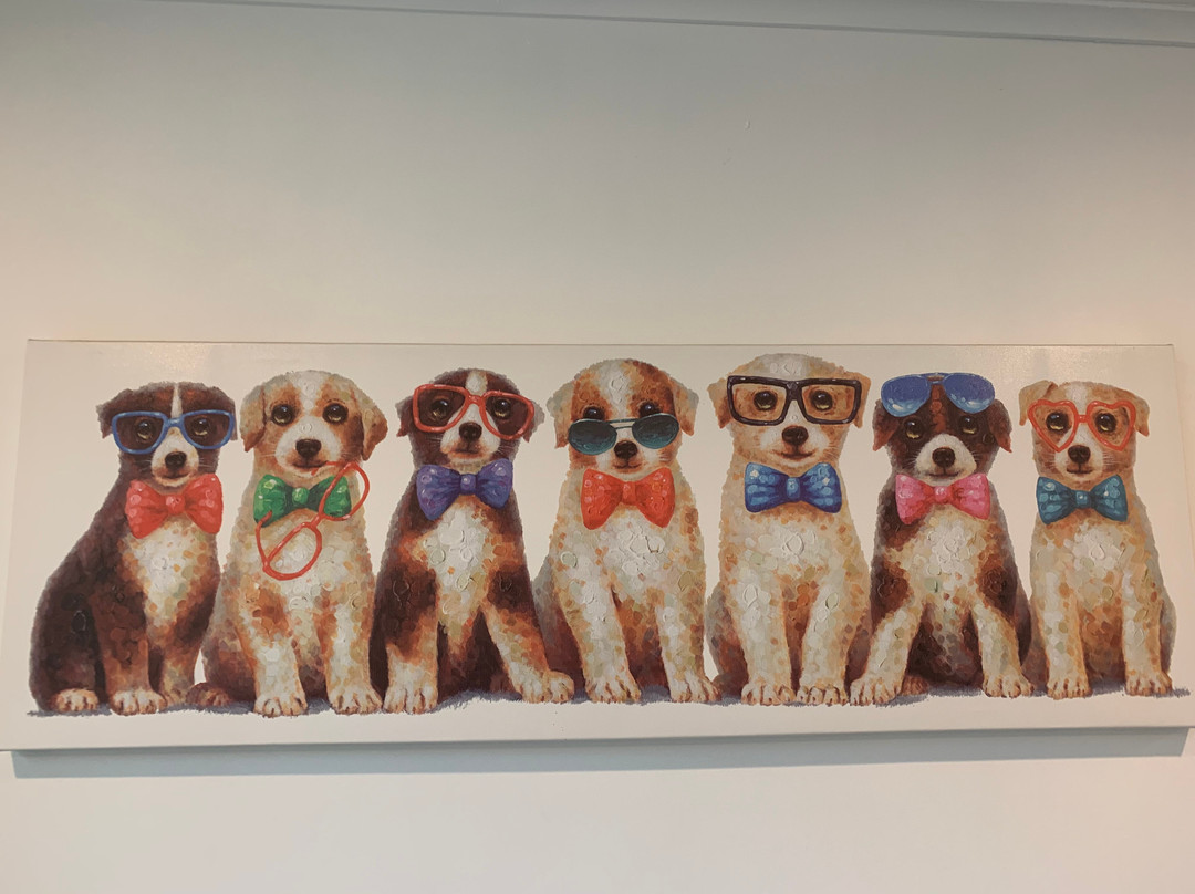 Buccaneer Motel主图