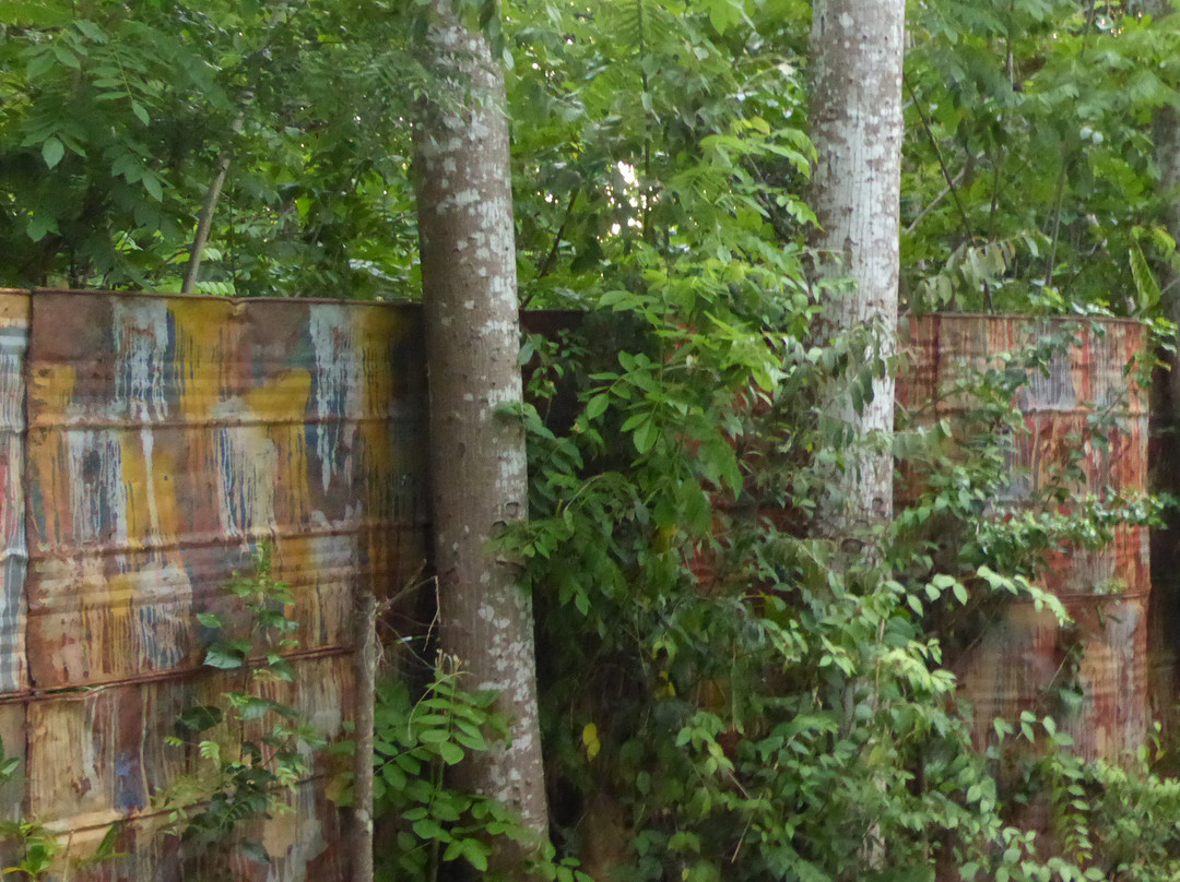 The Orchard Habarana主图