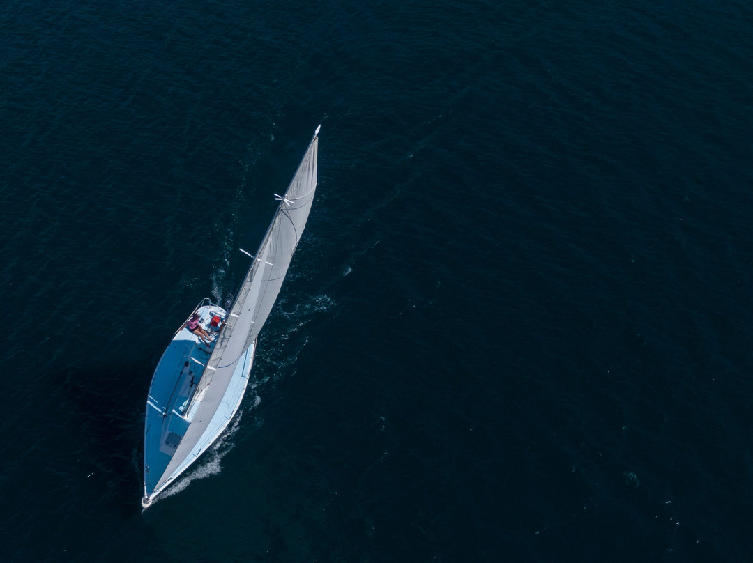 Sail Dubrovnik景点图片