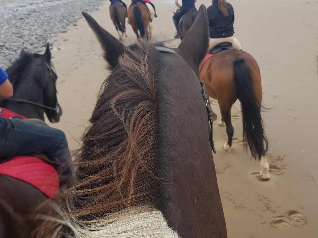 Hoofin-About Horse Riding Holidays-考文垂必去景点